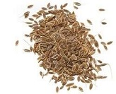 Dill Seeds
